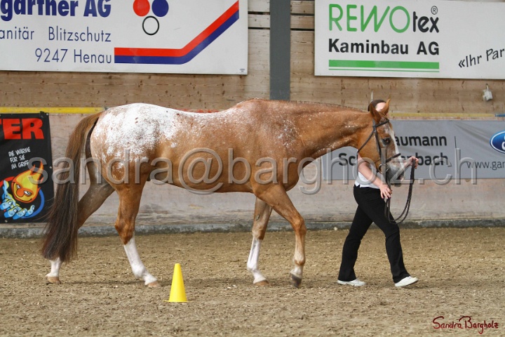 24-ApHC HIH_084.jpg